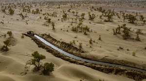 China desempenha papel importante no avanço das normas internacionais de divulgação