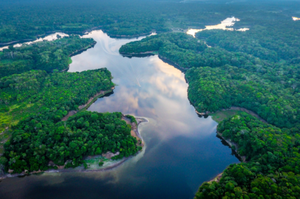 COP 30 e o recrudescimento das Alterações Climáticas