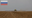 Rússia revela como Ucrânia agrava escassez de grãos e fertilizantes