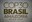 COP30 BELEM/PA - 2025