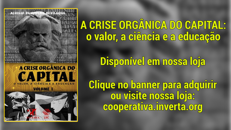 bannercriseorganicadocapital.png