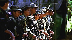 Comunicado das Farc-EP aos povos de Nossa América