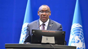 Desaceleração Econômica e Desigualdades: Desafios para a África