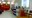 Lançamento "Orçamento para os Ricos" do Dr Ricardo Lodi